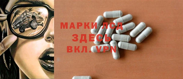 индика Заволжск