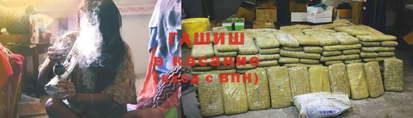 индика Заволжск