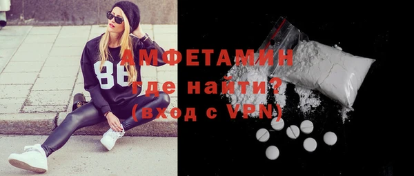 индика Заволжск