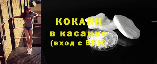 индика Заволжск