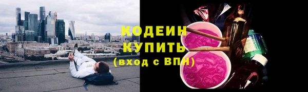 индика Заволжск