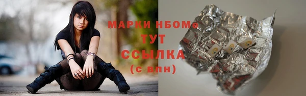 индика Заволжск