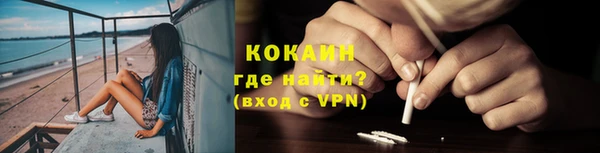 индика Заволжск