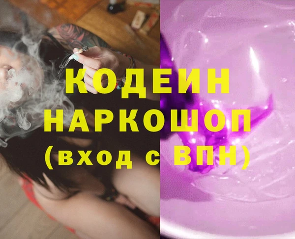 индика Заволжск