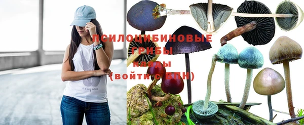 гашиш Заводоуковск