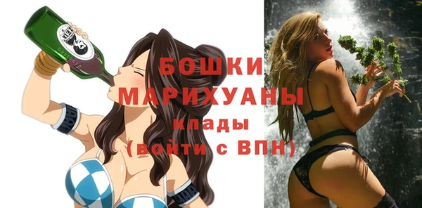 индика Заволжск